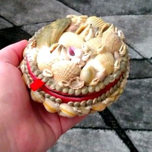 Seashell box